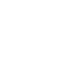 language globe icon white